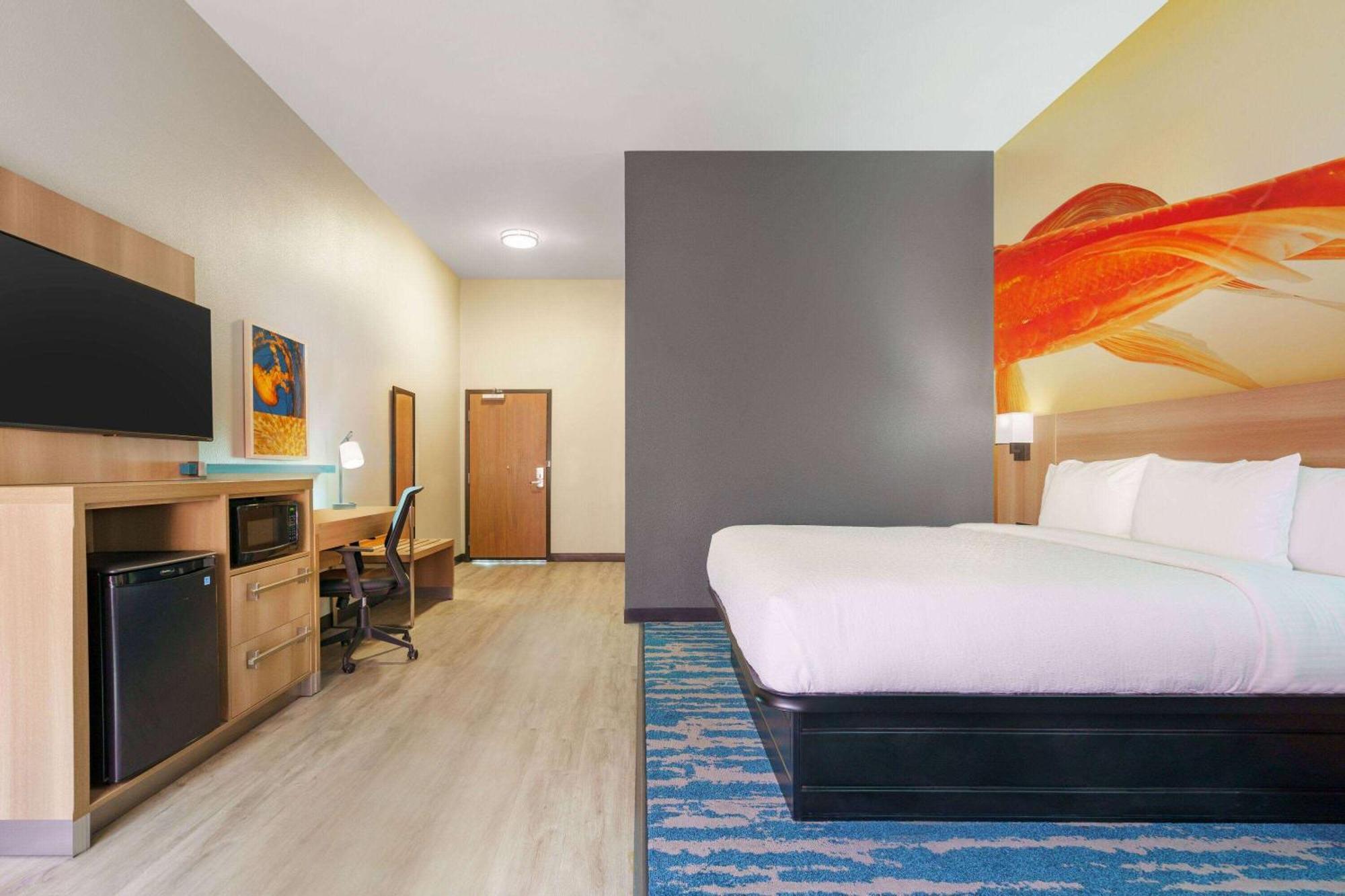 La Quinta Inn & Suites By Wyndham San Antonio Seaworld Lafb Eksteriør bilde